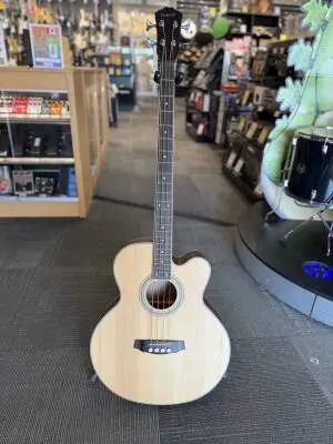Store Special Product - Denver - Acoustic Bass