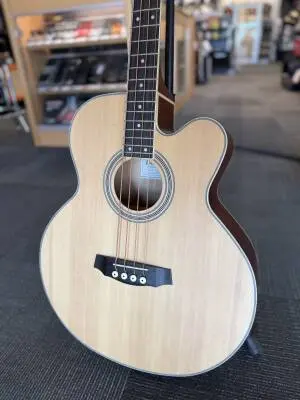 Store Special Product - Denver - Acoustic Bass