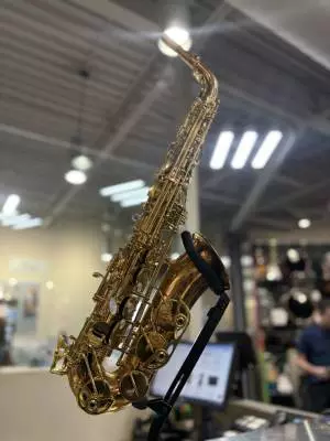 Store Special Product - YANAGISAWA ALTO SAX WO SERIES ALL BRONZE