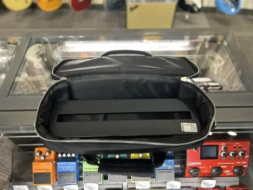 Store Special Product - Pedaltrain - Nano+ with Case