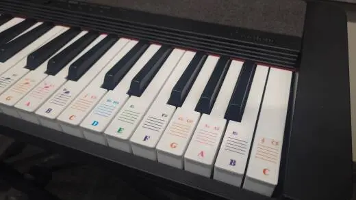 Store Special Product - Casio - CT-S1 BK