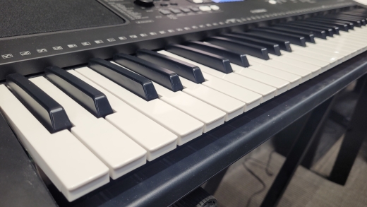 Store Special Product - Yamaha 61 Key Keyboard - PSRE373