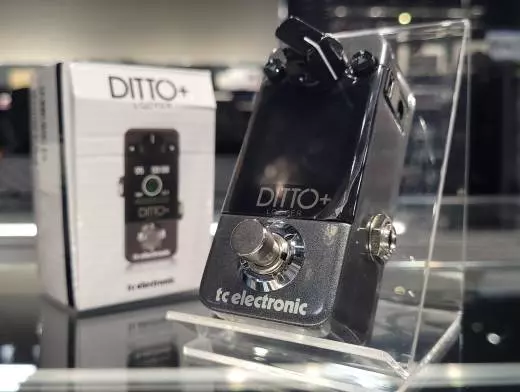 Store Special Product - TC Electronic - DITTOPLUSLOOPER