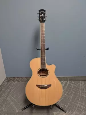 Store Special Product - Yamaha - APX600 NT