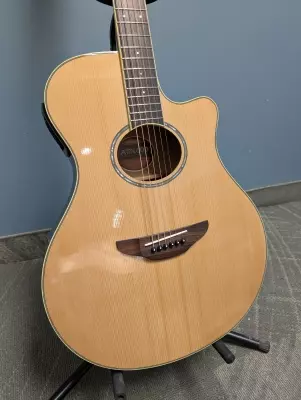 Store Special Product - Yamaha - APX600 NT