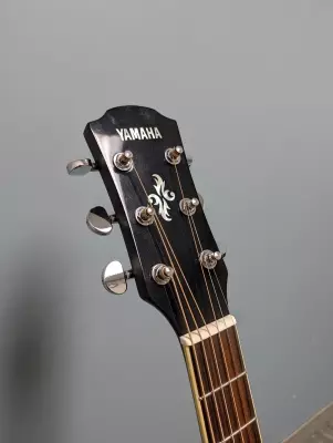Store Special Product - Yamaha - APX600 NT
