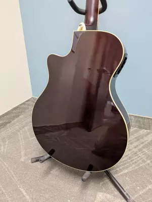 Store Special Product - Yamaha - APX600 NT