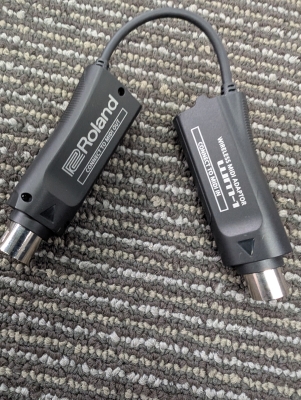 Store Special Product - Roland - WM-1