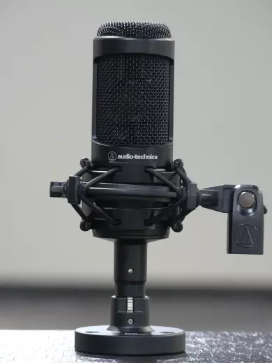 Store Special Product - Audio-Technica - Microphone à condensateur AT2035