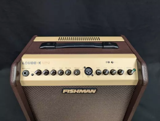 Store Special Product - Fishman - Loudbox Mini