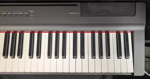 Store Special Product - Yamaha - P121 B