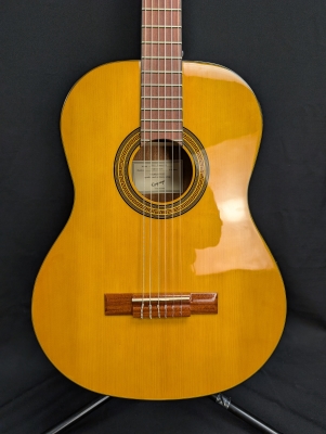 Store Special Product - Epiphone - E1 Classical