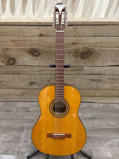 Store Special Product - Epiphone - EAPCANCH