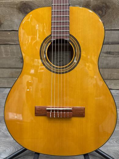 Store Special Product - Epiphone - EAPCANCH