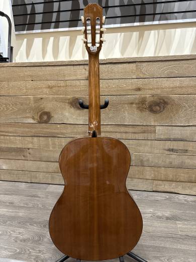 Store Special Product - Epiphone - EAPCANCH