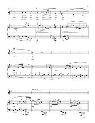 Gypsy Songs op. 55 - Dvorak/Vejvodova - Low Voice/Piano - Book