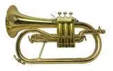Cool Wind - Plastic Flugelhorn - Brass Finish