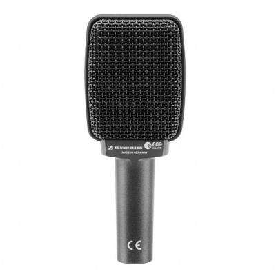 e 609 Silver Dynamic Supercardioid Microphone