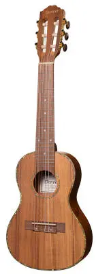 Guitar Ukulele with Gig Bag