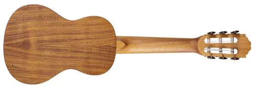 Guitar Ukulele with Gig Bag