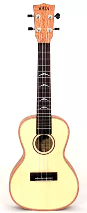 Solid Lacewood Concert Ukulele