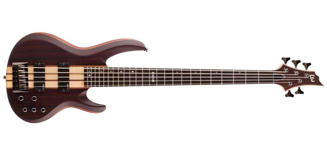 LTD B-5E 5-String Bass Guitar - Natural Satin