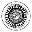 Remo - ARTBEAT Artist Collection Drumhead - Aric Improta, New Sun 10