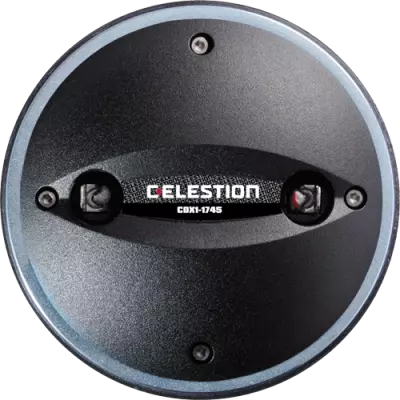 Haut-parleur de 8 ohms 60 watts 1 pouce