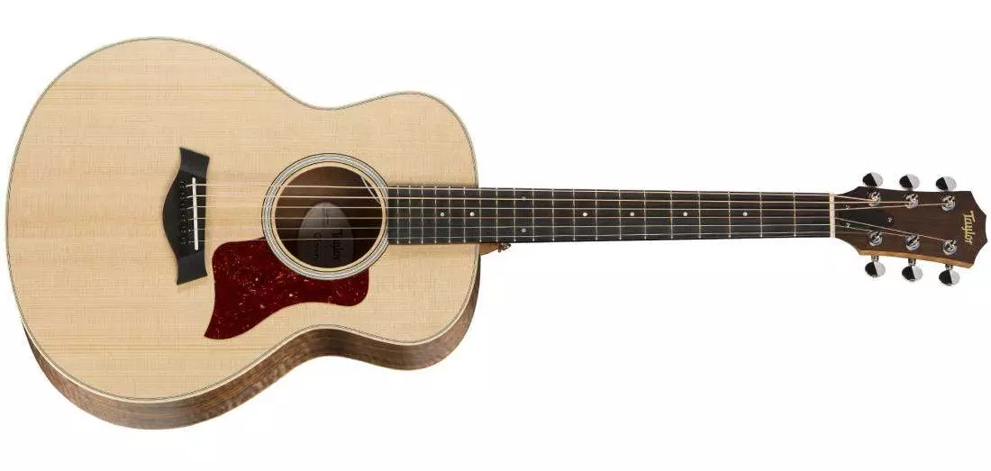 GS Mini-e FW LTD Edition Roadshow Guitar 2018