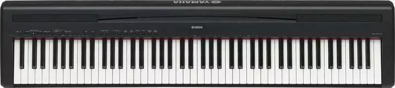 P95 - 88 Key Digital Piano - Black