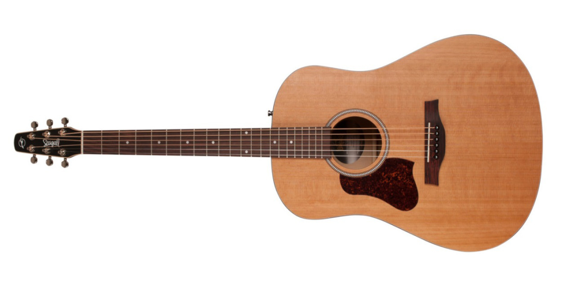 S6 Original Acoustic Guitar - Left