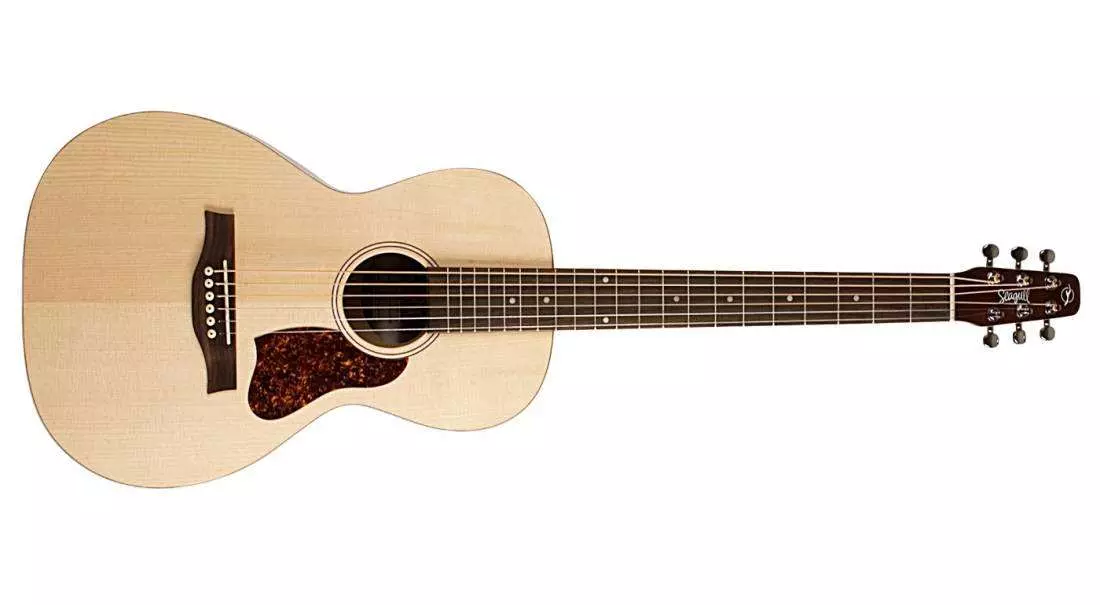 Entourage Grand Natural Acoustic-Electric Guitar