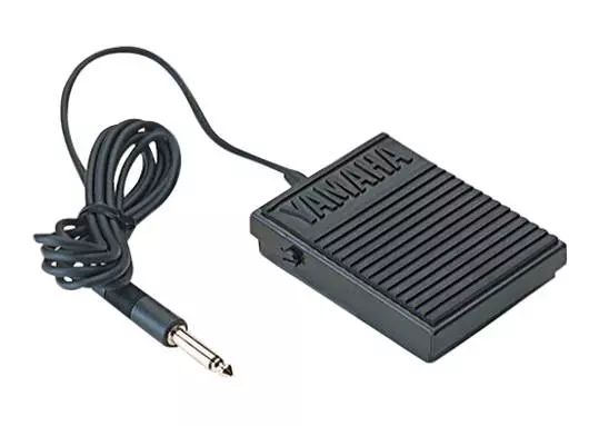 FC5 - Foot Switch Style Sustain Pedal