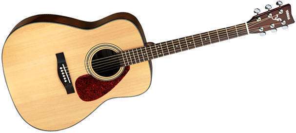 F325 - Acoustic Guitar