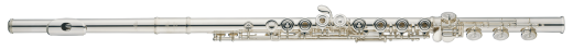 Altus Flutes - 807 Solid Lip Plate - Offset G