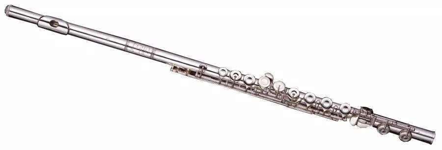 DSBO - Solid Silver Head Joint, Body and Keys B Foot Offset G