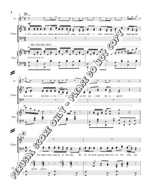 A Place in the Choir - Staines/Phare-Bergh - SATB