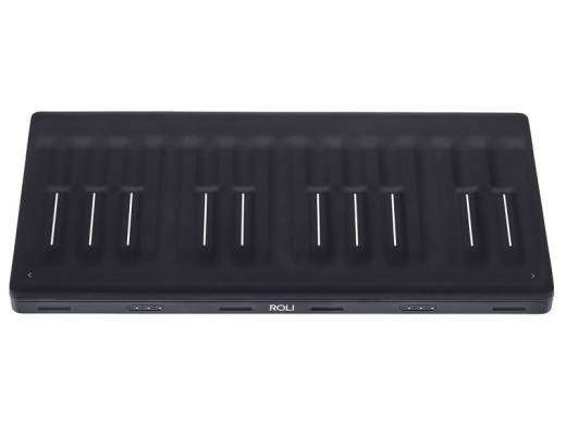 Seaboard Block - 24 Keywave, Two Octave Playing Surface