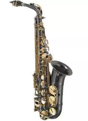 PMA-500BX - Alto Sax in Black Nickel