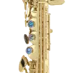 System 76 2nd Edition Soprano Sax - Gold Lacquer