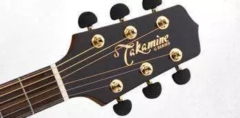 G406S - G Series FXC Acoustic - Spruce/Rosewood