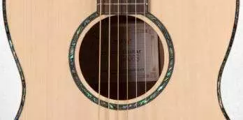 G406S - G Series FXC Acoustic - Spruce/Rosewood
