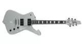 Ibanez - Paul Stanley Signature Guitar - Silver Sparkle