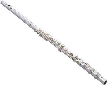 Alto Flute - Solid Silver Head Joint with Silver Plated Body