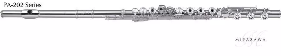 PA-202RH