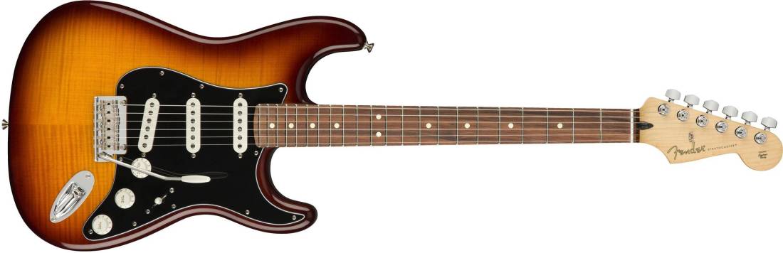 Player Stratocaster Plus Top Pau Ferro - Tobacco Sunburst