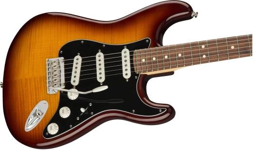 Player Stratocaster Plus Top Pau Ferro - Tobacco Sunburst
