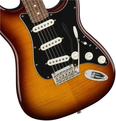 Player Stratocaster Plus Top Pau Ferro - Tobacco Sunburst