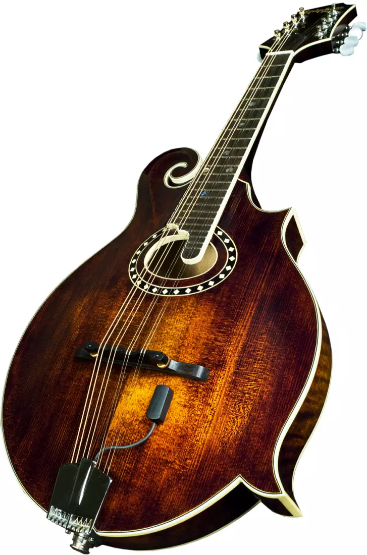 Radius Mandolin Pickup