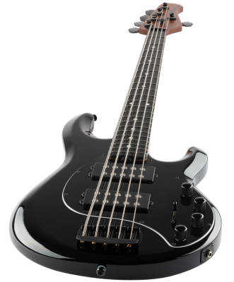 StingRay Special HH 5-String Bass w/ Ebony Fingerboard - Black